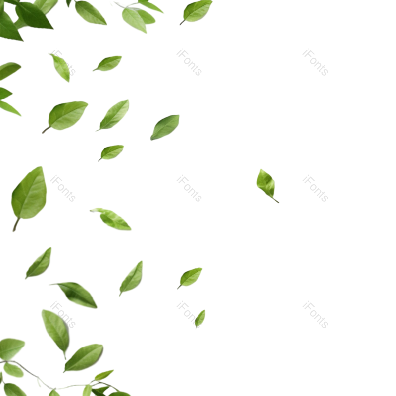 装饰图片,元素元素,绿叶PNG,设计元素免抠素材